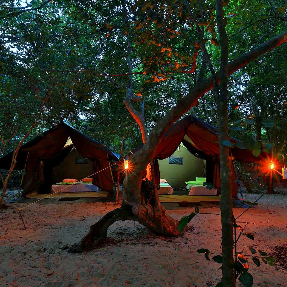 Udawalawe Safari Camping in Sri Lanka